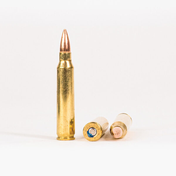 223 Rem 55gr FMJ Federal American Eagle AE223 Ammo Rounds
